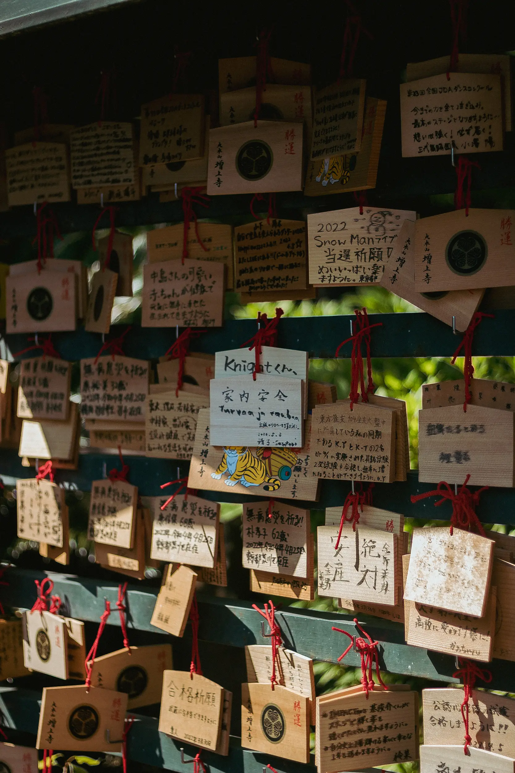 Legenda 6